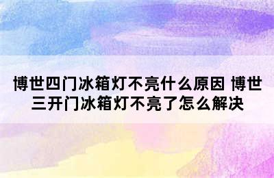 博世四门冰箱灯不亮什么原因 博世三开门冰箱灯不亮了怎么解决